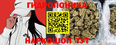 кокс Можайск