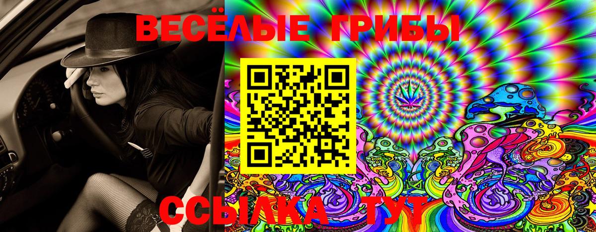 Галлюциногенные грибы Psilocybe Строитель